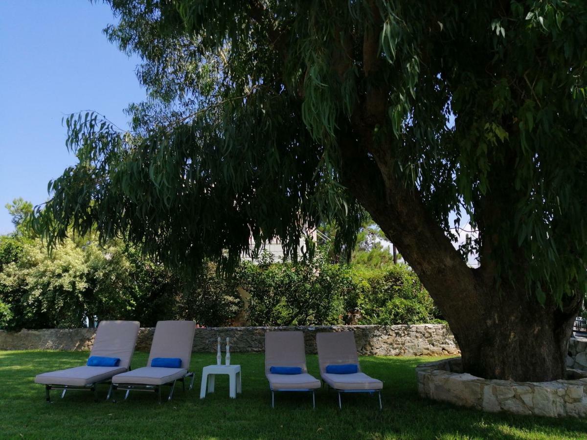 Cedar Tree Villa Kounoupidhianá Buitenkant foto